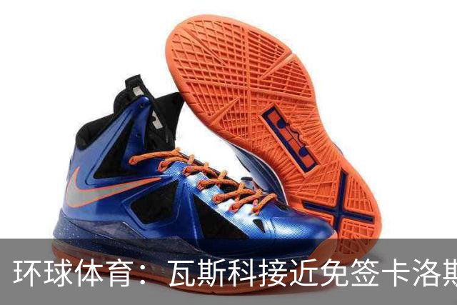 环球体育：瓦斯科接近免签卡洛斯-维尼修斯
